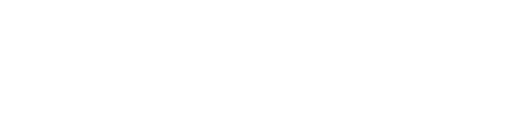 Timberfix White Logo